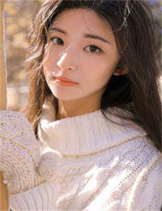机智的恋爱生活越南语版